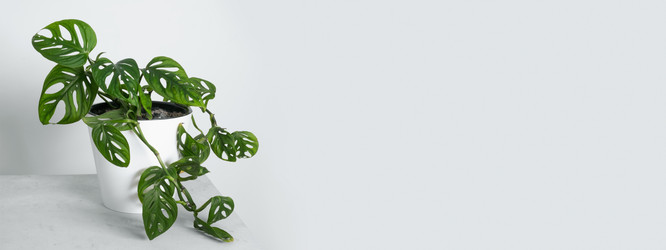 Similar image 21264296