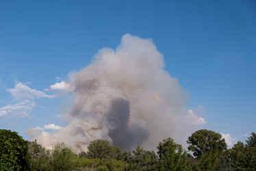 Similar image 21264302