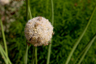 Similar image 21264306