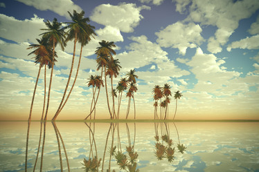 Similar image 21263592