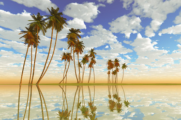 Similar image 21263611