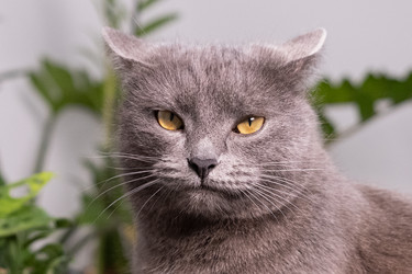 Similar image 21264317