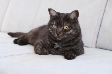 Similar image 21264322