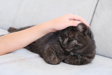 Similar image 21264329