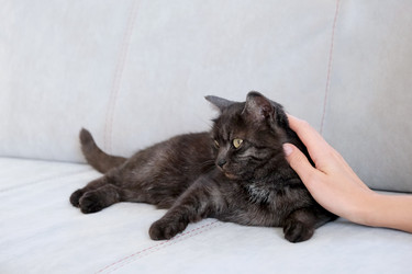 Similar image 21264331