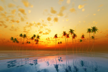 Similar image 21263593