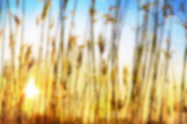 Similar image 21273637