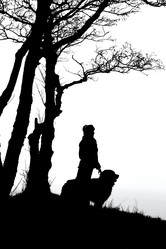 Similar image 21273642