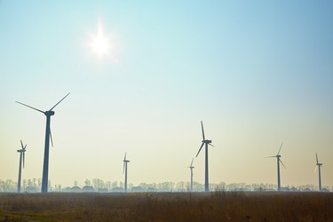 Similar image 21273767