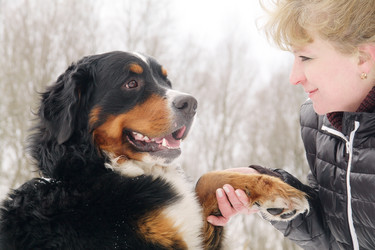 Similar image 21269458