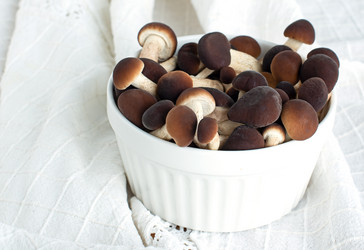 Similar image 21264338