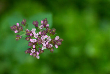 Similar image 21264340