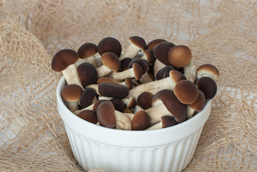 Similar image 21264343