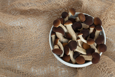 Similar image 21264346