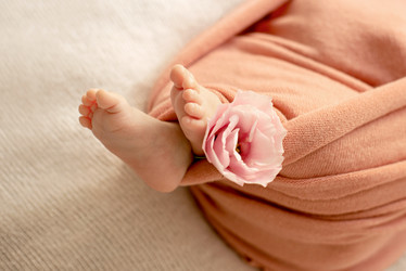 Similar image 21264348