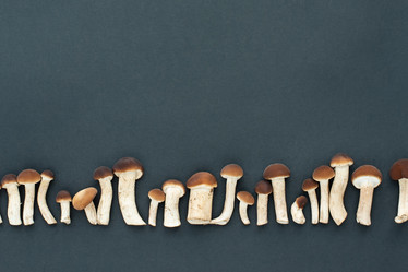 Similar image 21264354