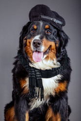 Similar image 21263595