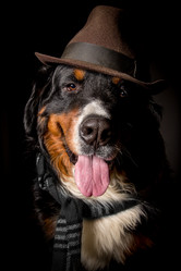 Similar image 21269468