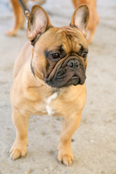 Similar image 21273663