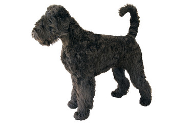 Similar image 21273803