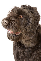 Similar image 21290040