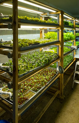 Similar image 21263216