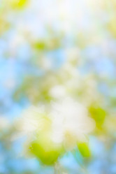 Similar image 21269177