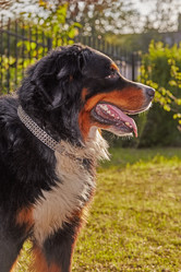 Similar image 21269507