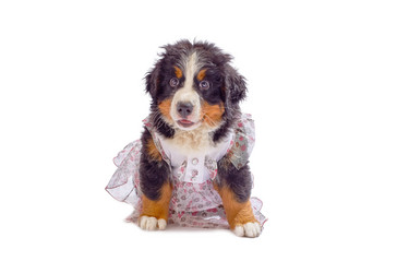 Similar image 21269508