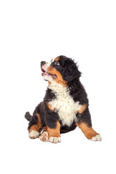 Similar image 21269515