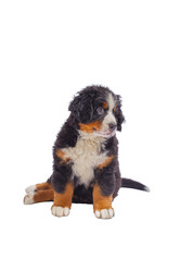 Similar image 21273685