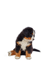 Similar image 21273689