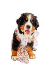 Similar image 21273808