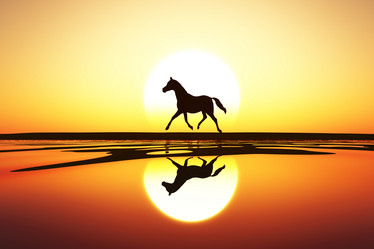 Similar image 21273705