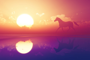 Similar image 21273707