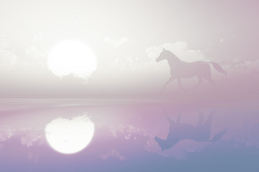 Similar image 21269548