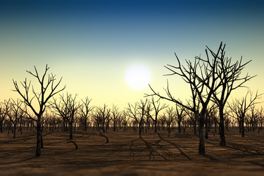 Similar image 21269554