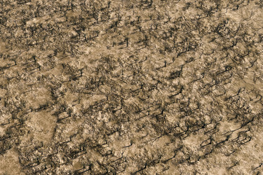 Similar image 21269556