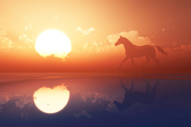 Similar image 21269557