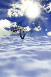 Similar image 21273712