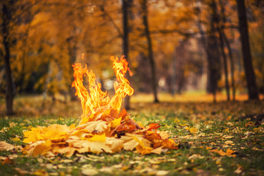 Similar image 21273718