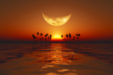 Similar image 21263603