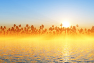 Similar image 21263624