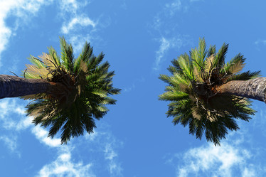 Similar image 21269584