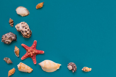 Similar image 21260128