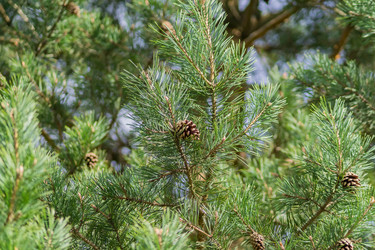 Similar image 21260230