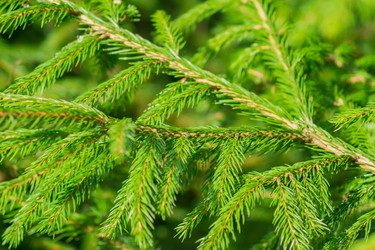 Similar image 21260233