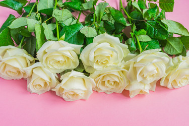 Similar image 21259935