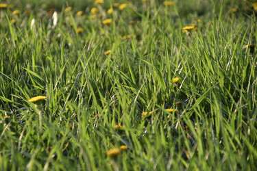 Similar image 21263222