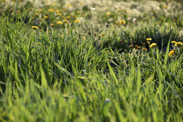 Similar image 21289146